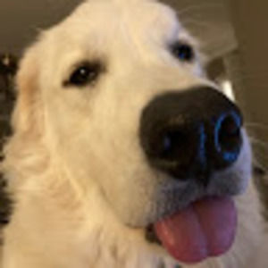 Meet your Posher, Ella